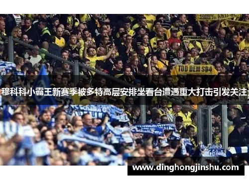 穆科科小霸王新赛季被多特高层安排坐看台遭遇重大打击引发关注